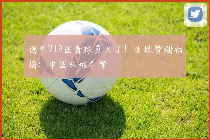 德甲U19国青球员火了！法媒赞谢初筠：中国队的引擎
