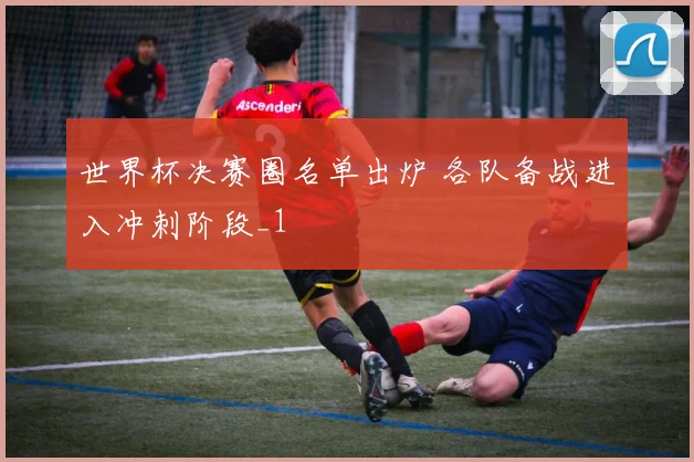 世界杯决赛圈名单出炉 各队备战进入冲刺阶段_1